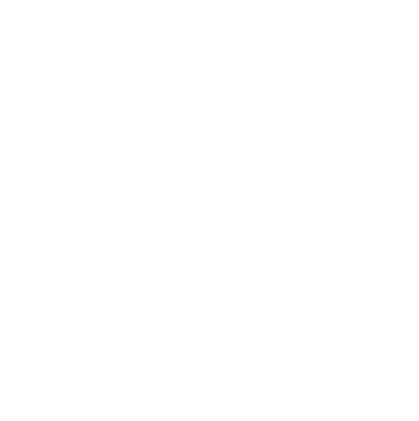 Enlight Autism Center